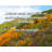 Latitude Run® Gallery Wrapped Canvas By Jim Harbaugh: "Attack each day with an enthusiasm unknown to