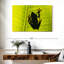 Grenouille sur feuille-2056130887