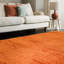 Natonia Shiny Shaggy Orange Area Rug-1157629011