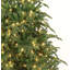 Arbre de Noël-695733225