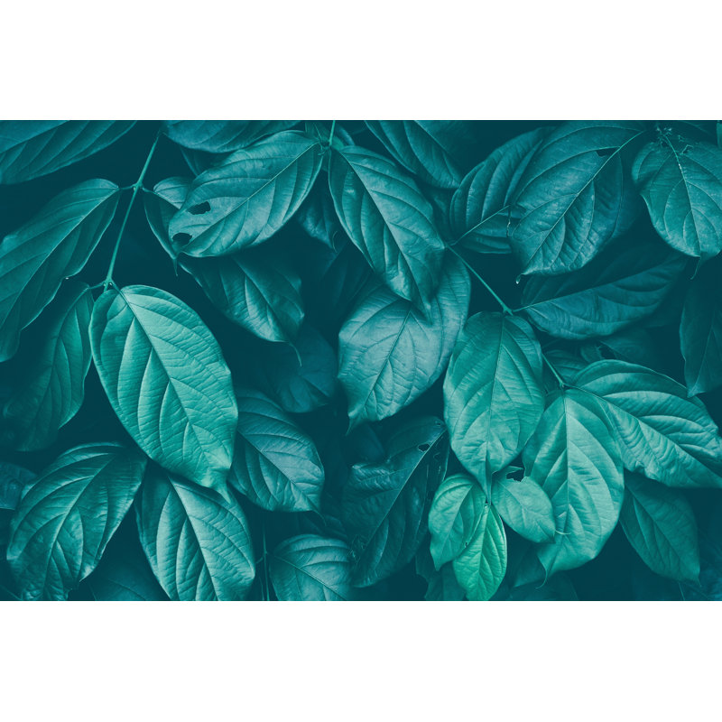 Leaf Texture Background by Pernsanitfoto - Wrapped Canvas Print, 30cm H x 46cm W