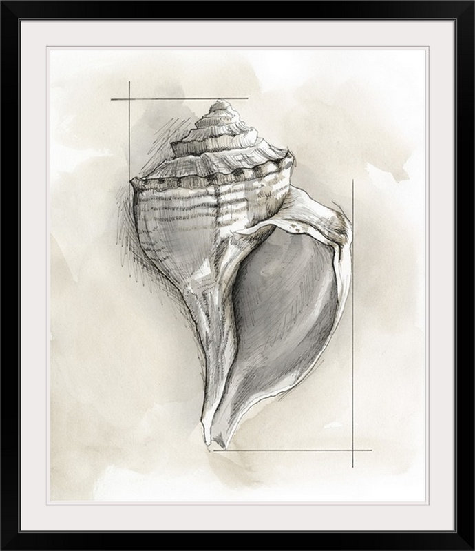 « i » megan meagher, reproduction d’art Shell Schematic, Cadre noir, H 38 po x l 32 po x P 1 po