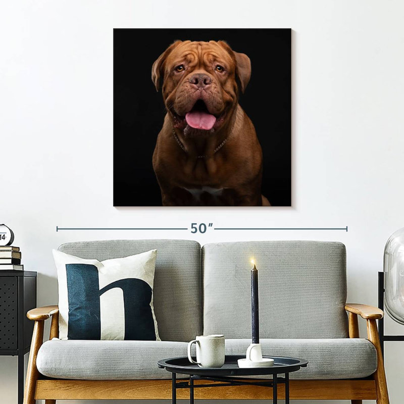 Crowle Bordeaux Mastiff Dog, 30" H x 30" W