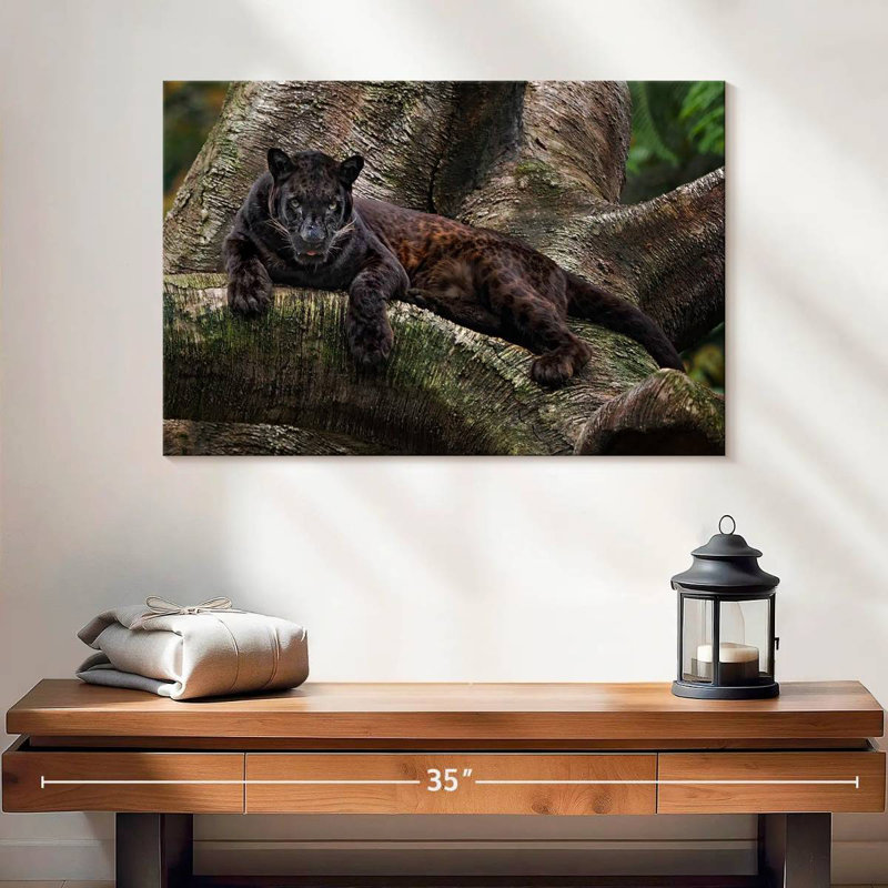 Brampt Mysterious Black Panther, 16" H x 24" W