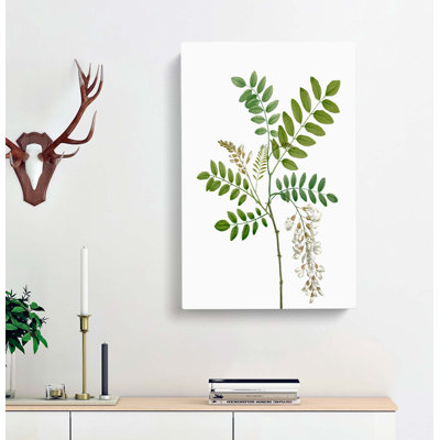 Acacia Tree Flowers - Wrapped Canvas