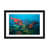 Black Framed Fine Art Paper is unavailable