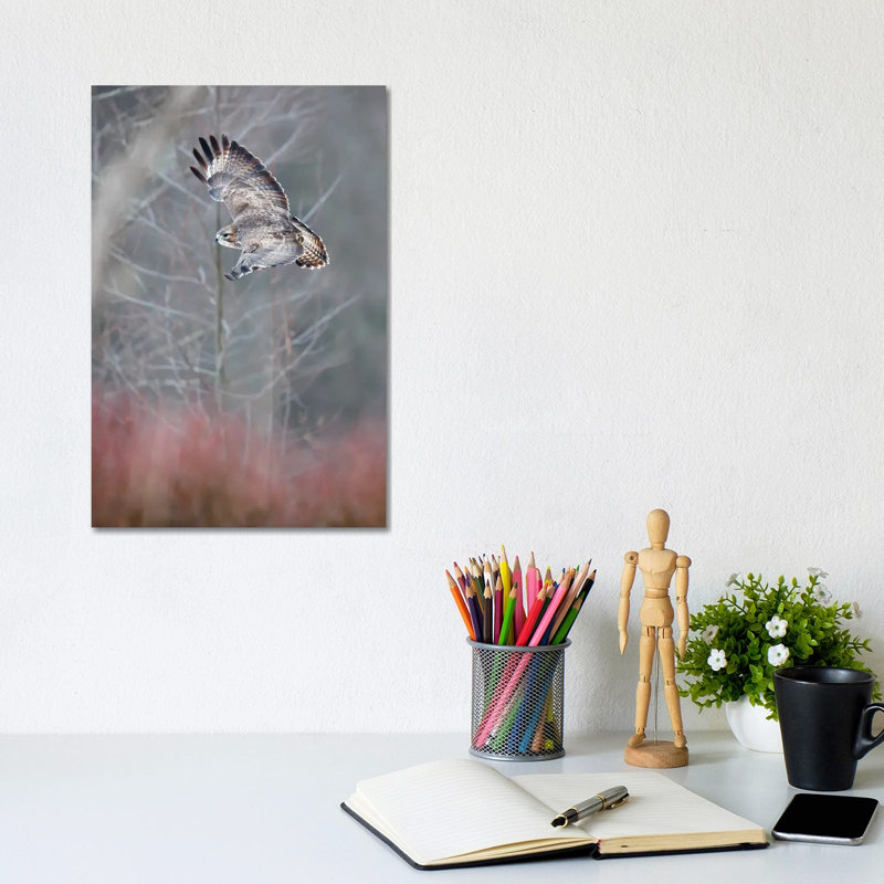 Flying Buzzard by Mateusz Piesiak - Wrapped Canvas Print, 20.32 cm H x 30.48 cm W