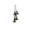 Torch Light, S10 Bunch L1800, 110/120V-387200068-387200075-387200079