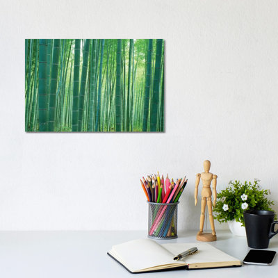 Bamboo Forest, Sagano, Kyoto, Japan 1 Piece Wrapped Canvas Wall Art