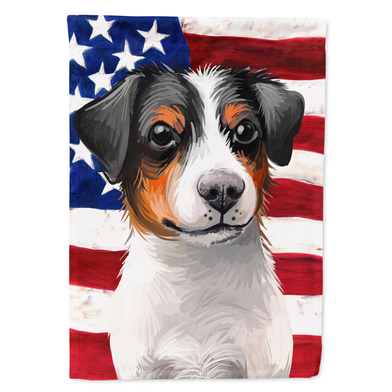 Polyester à 2 côtés 28 x 40 po drapeau maison, Chien de ferme danois-suédois