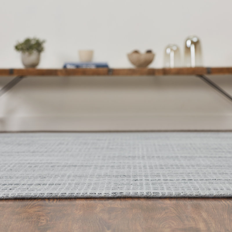 Plamena Hand Loomed Plaid Area Rug in Gray, Rectangle 9' x 12'