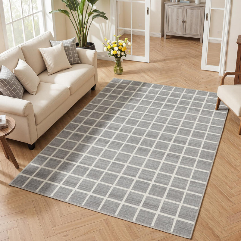 Modern Plaid Area Rugs in Beige/Gray, Indoor Large Living Room Rugs, Soft Washable Non-Slip Rugs, Oeko-Tex Certified, Grey