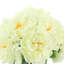 Peony Arrangement in Glass Vase with Grass-50368380