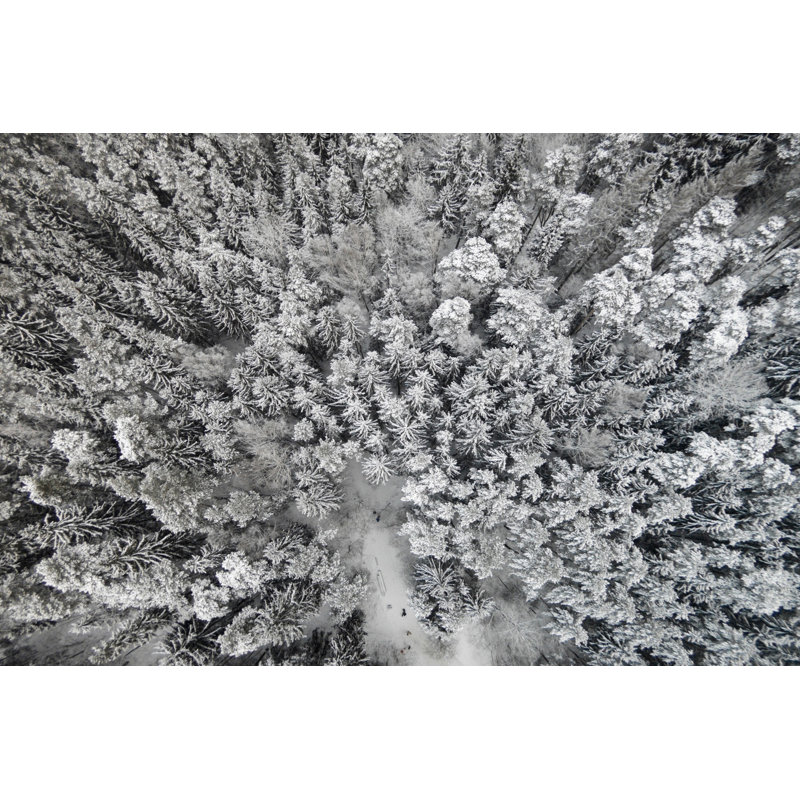 Karolis Janulis - Wrapped Canvas Print, 76 cm H x 114 cm W x 3.81 cm D