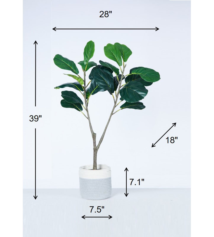 Chappell 39'' Faux Fiddle Leaf Fig Tree in Wicker/Rattan Planter