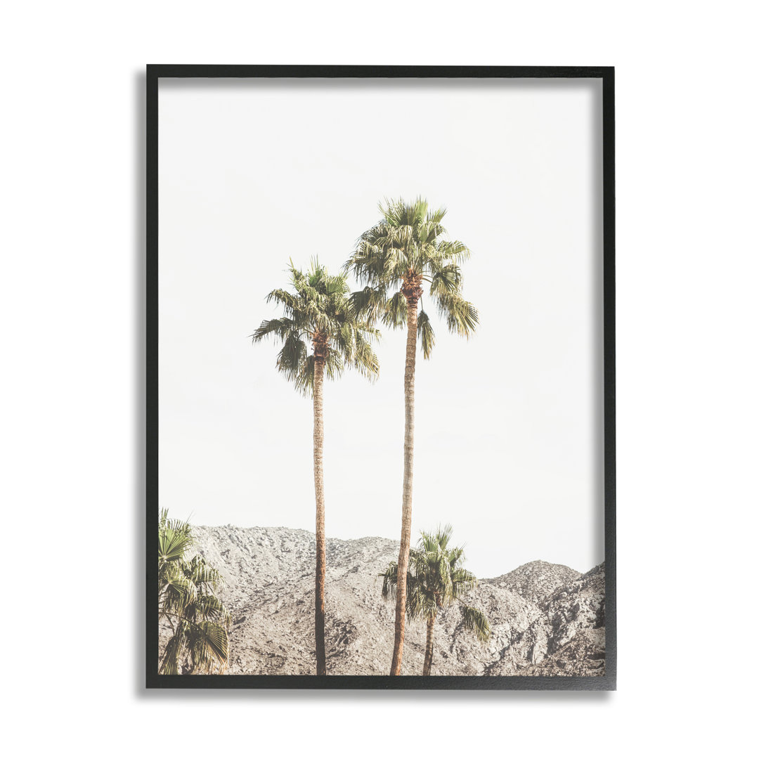 " Looming Palm Trees Photography " by Sisi And Seb Stupell Industries Frame 
