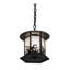 Luminaire suspendu de style lanterne noire à 1 lumière Haydel