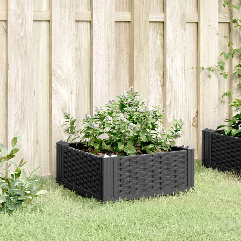 Burgos Wood Planter, 28.5cm H x 42.5cm W x 42.5cm D, Natural Douglas fir wood