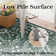 Modern Floral Machine Washable Rug for Living Room, Farmhouse Flower Soft Non Shedding Floor Covering with Non Slip TPR Backing, Indoor Foldable Low Pile Thin Mat