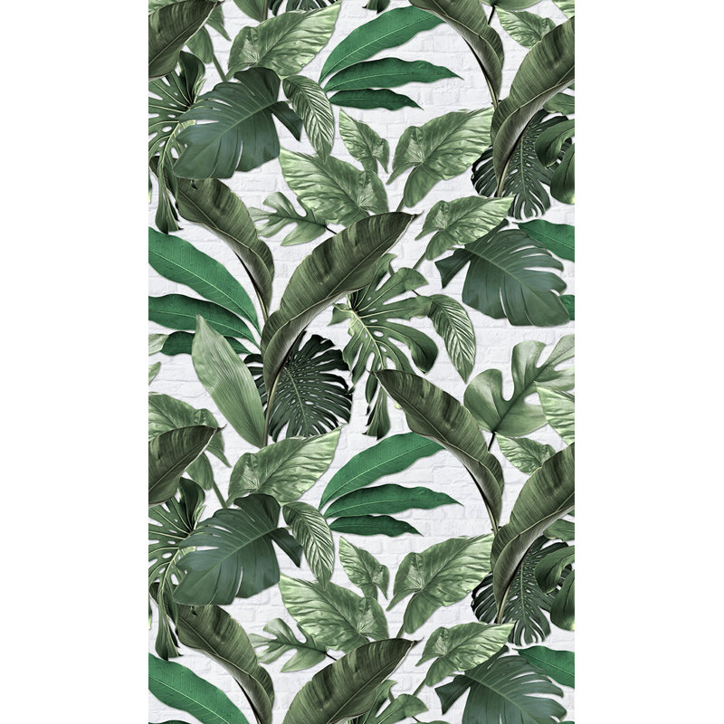 Aaronn Tropical Leaves With Exposed Brick Background 3-panel (3 x 2.7m) Wall Mural, Green/Light Grey