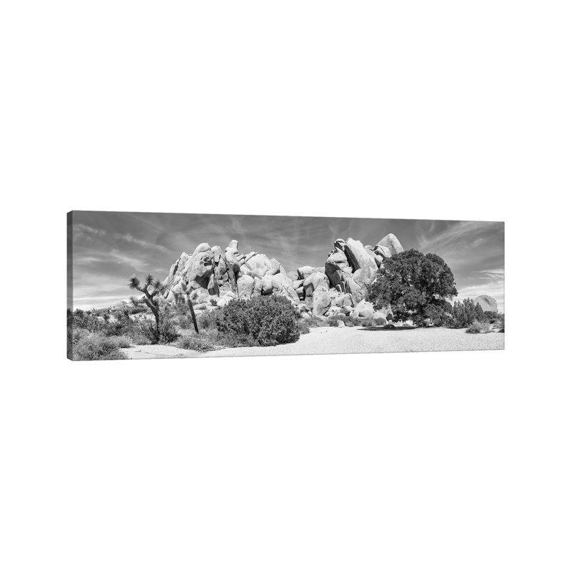 Life Oak - Joshua Tree National Park Monochrome Panorama by Melanie Viola - Wrapped Canvas Panoramic Print