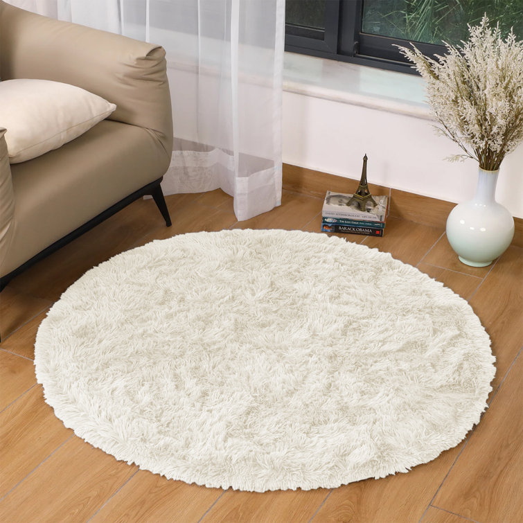 Allesia Standard Shag 120cm X 120cm Area Rug
