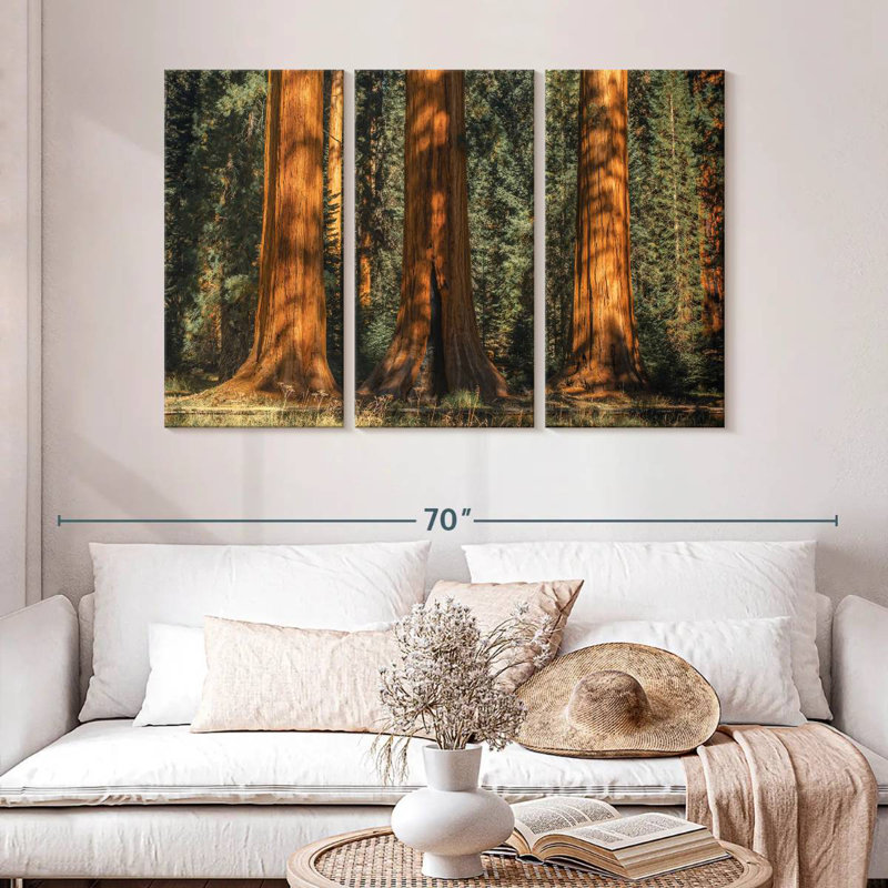 Arbres anciens du parc Harnek Sequoia, H 32 po x l 50 po