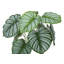 Plante artificielle, 24 po de haut, Calathea, intérieur, faux, faux, table, verdure, pot, touche réelle, décoratif, feuilles vertes, pot-1035965631