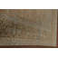 Tapis délavé 10 x 13