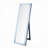 Woodrow Glass Rectangle Floor Mirror