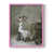 Pink n'est pas disponible