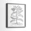 Reproduction encadrée de qualité supérieure B&W Plant Speciment IX - prête à être accrochée - aucun clou requis - aucun clou requis-1068397173-1068397135