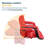 Folding Stadium Seat-760194529