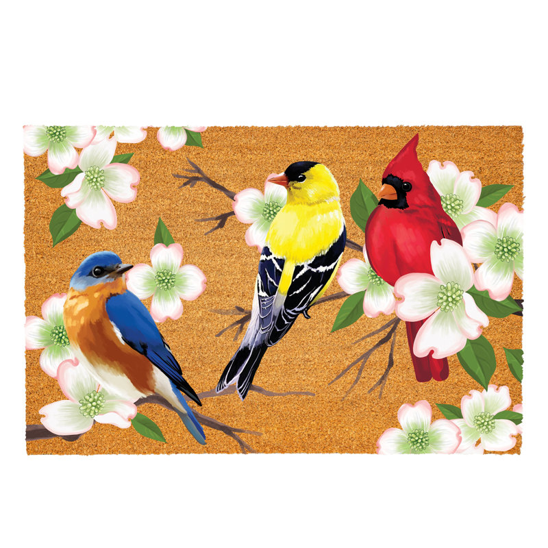 What She Shed Bird Bunch, Coir Mat, 36"x24"