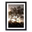 Leopard Siesta - Picture Frame Painting Print-55582643-55582646