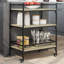 Newfolden Metal Bar Cart-1993835341