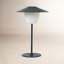 Ani 13" Metal Novelty Table Lamp-384962690