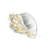 Citron Shell Sketch III-758174352