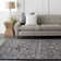 Mosheim Oriental Indoor Rug