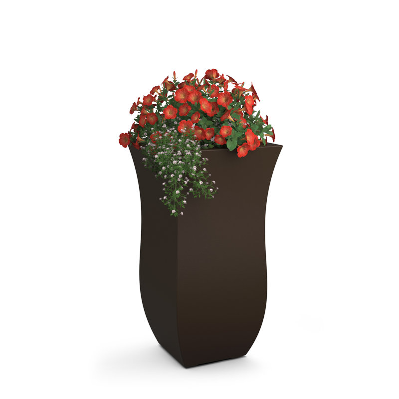 Boîte à fleurs Latonia, Espresso, 1