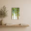 «Forest Study I» par Lisa Audit - impression sur toile-1780396940-1780396943