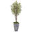 72'' Faux Olive Tree Tree in Stone Planter