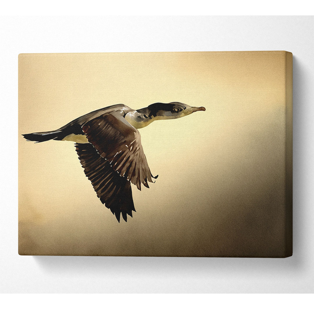 Shag Bird - Kunstdrucke auf Leinwand - Wrapped Canvas