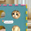 Niche pour chat avec 40 jouets