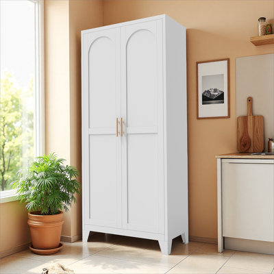2 Shapely Doors Cabinet, Metal Storage Cabinet with Doors and Adjustable Shelves, for Bedroom, Living Room by Red Barrel Studio