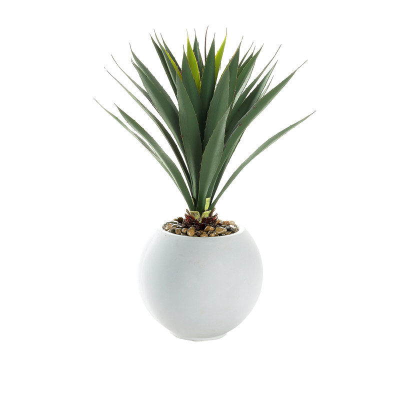 Yucca dans une jardinière Porter, White