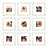 8X8 Picture Frame Set Of 9, Display Pictures 4X4 With Mat Or 8X8 Without Mat, Multi Collage Gallery Square Photo Frames For Wall Or Tabletop, Distressed White