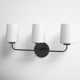 Fitz 3 Light Frosted Dimmable Vanity Light