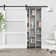 3-Lite Frosted Glass and Solid Manufactured Wood Sliding Barn Door with Installation Hardware Kit