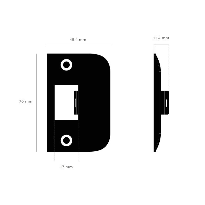 Strike Plate Kit / D Shaped, Steel